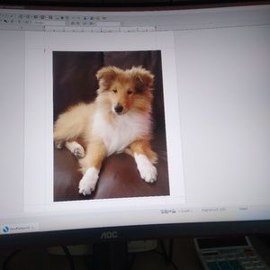 Meet your Posher, Barbara